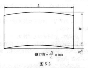 1750824253841.jpg